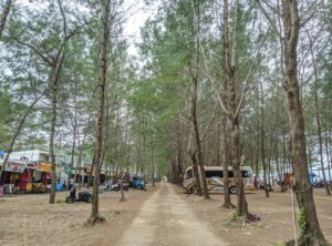 pantai bayem tulungagung